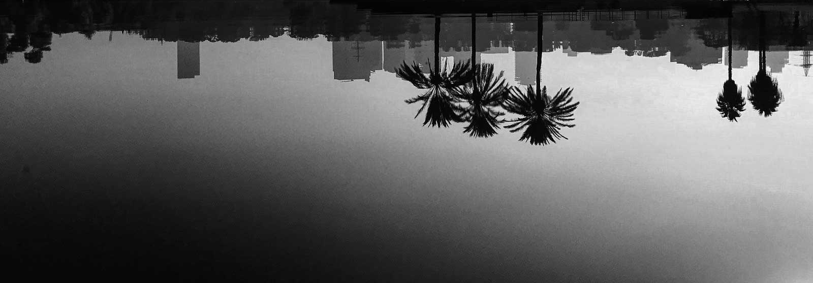 TLV Skyline Upside-down